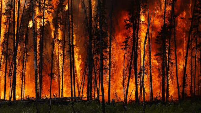 Wildfires